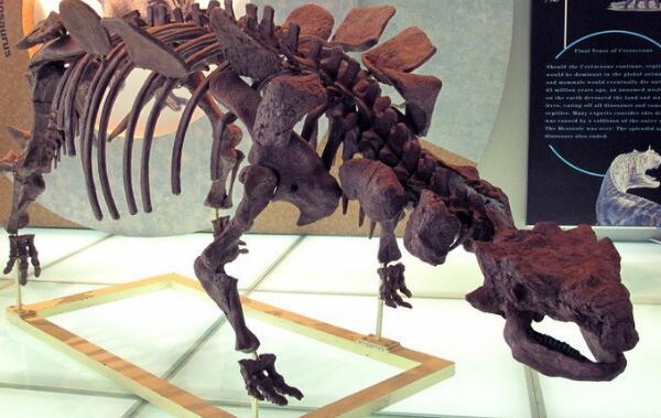 克氏龙：辽宁小型食草恐龙（长3.5米-距今9000万年前）