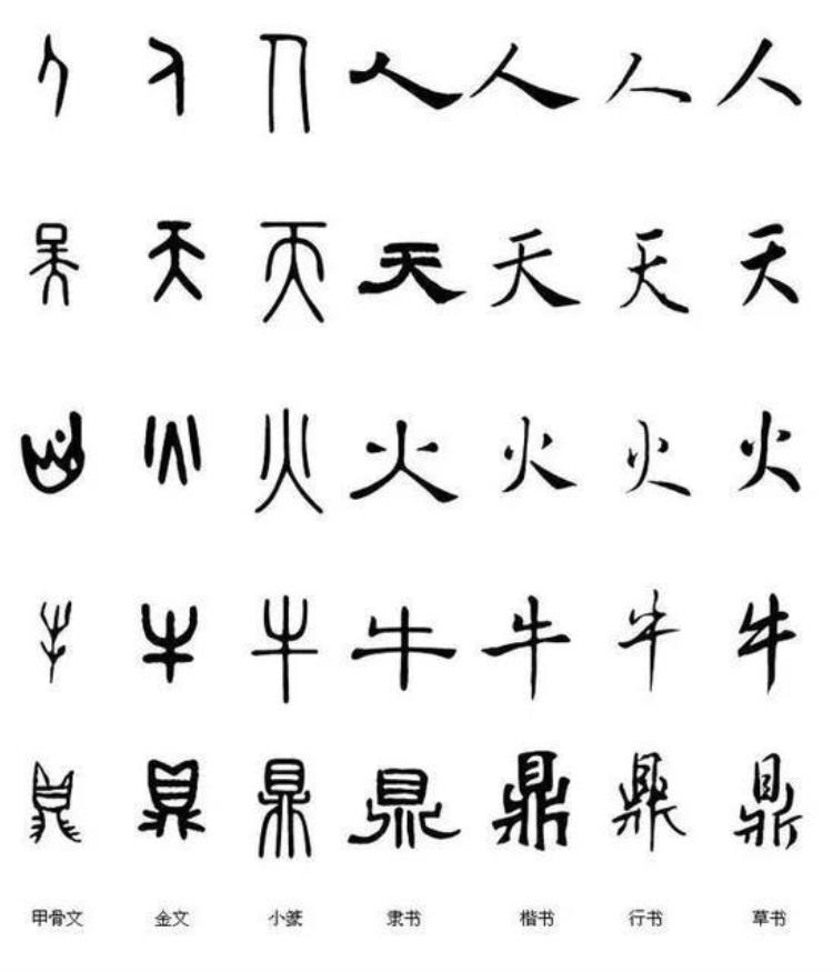 西方文字演变,中国文字进化史