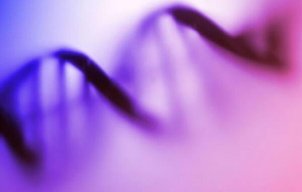 人类垃圾DNA真的无用-卫星DNA意义有哪些