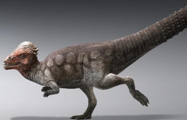 雅尔龙：欧洲小型食草恐龙（长1米-距今1.21亿年前）