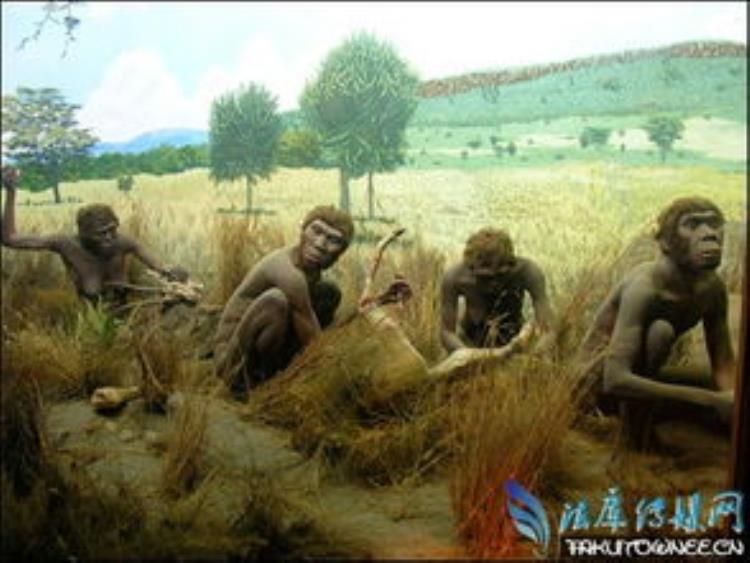 人类的起源是谁发现的,人的祖先起源