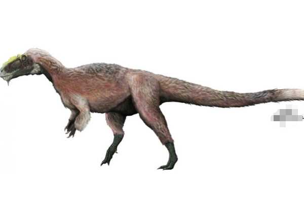 长颈龙-远古爬行生物(最长12米-脖子占到身体一半)