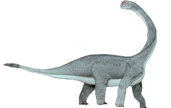 文雅龙：四川大型四足食草恐龙（长9米-距今1.61亿年前）