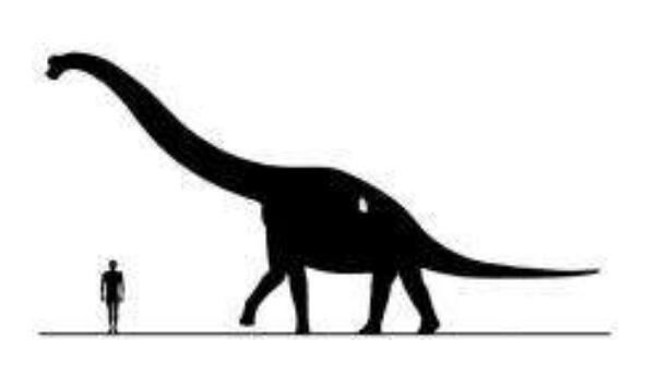 春雷龙：北美洲大型食草恐龙（长15米-距今1.5亿年前）