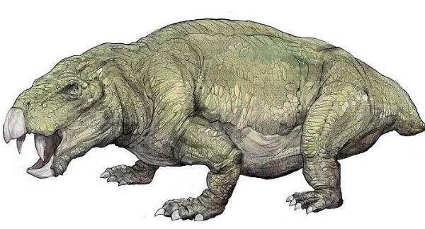巧合角龙：大洋洲小型食草恐龙（长2米-距今1.12亿年前）