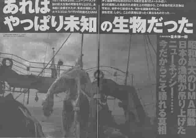 南太平洋海怪：瑞洋丸事件，日本船长为2亿元，将国宝丢入太平洋