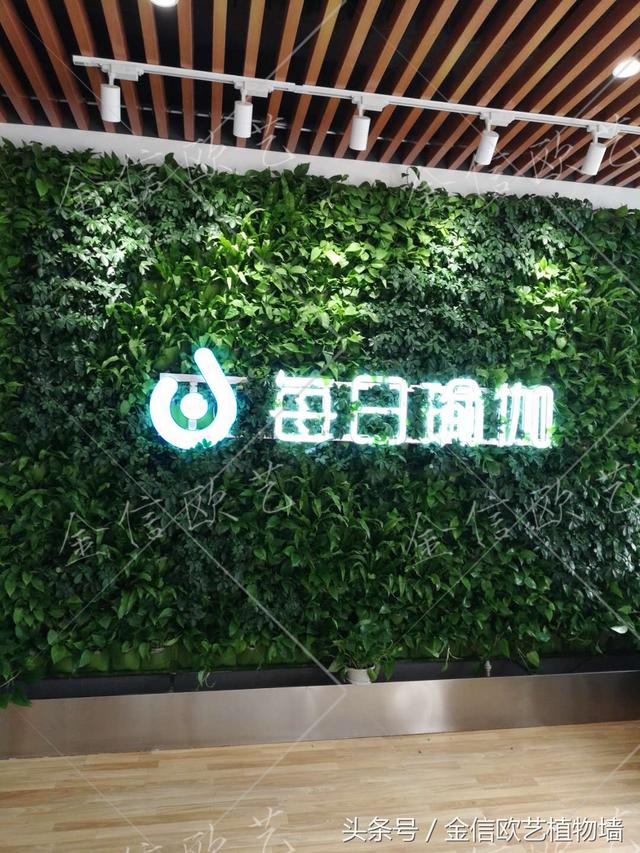 logo植物墙 完工