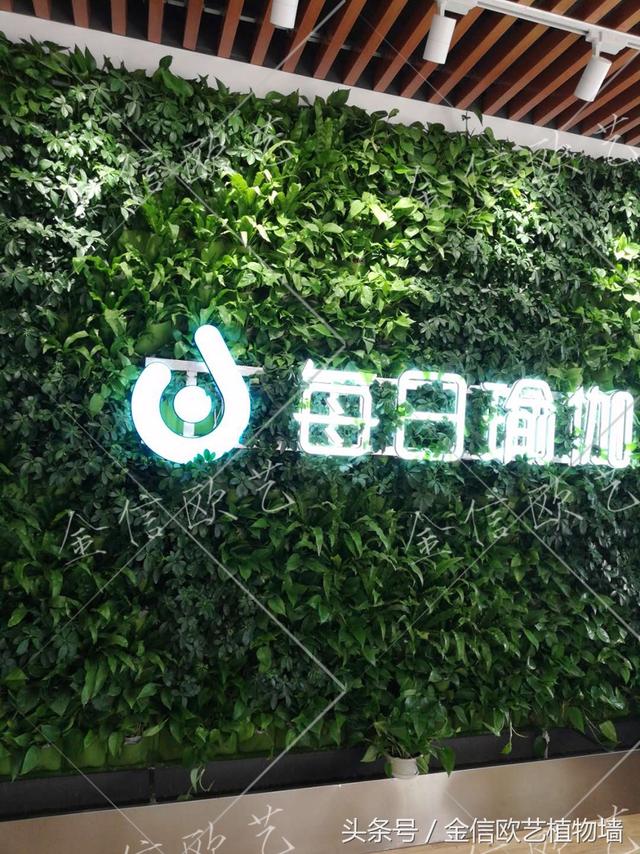 logo植物墙 完工